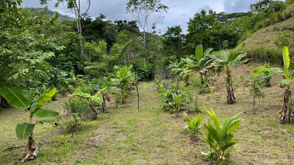 0 bed Land For Sale in Uvita, Puntarenas - thumb 27