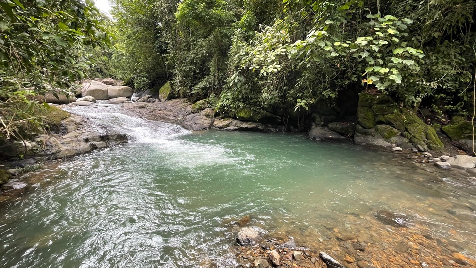 0 bed Land For Sale in Uvita, Puntarenas - thumb 14