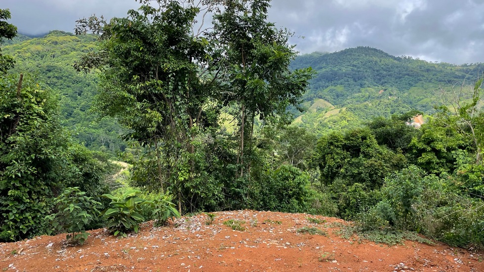 0 bed Land For Sale in Uvita, Puntarenas - thumb 19