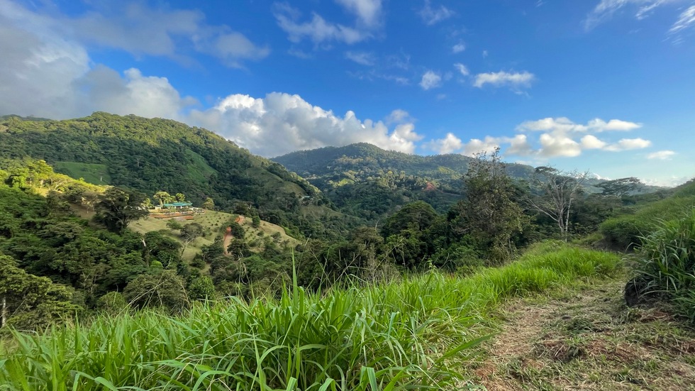 0 bed Land For Sale in Uvita, Puntarenas - thumb 8