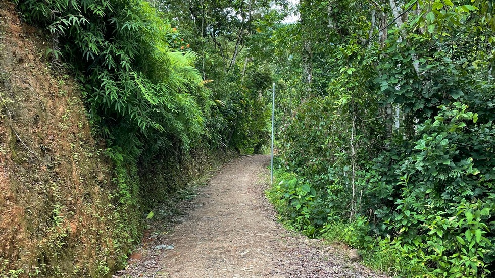 0 bed Land For Sale in Uvita, Puntarenas - thumb 26