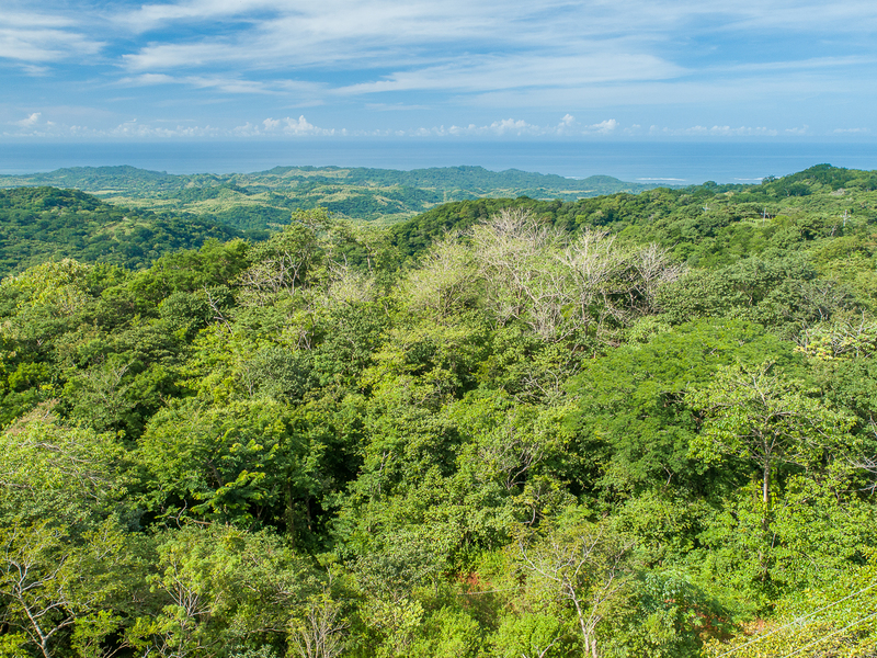 0 bed Land For Sale in Nosara, Guanacaste - 1