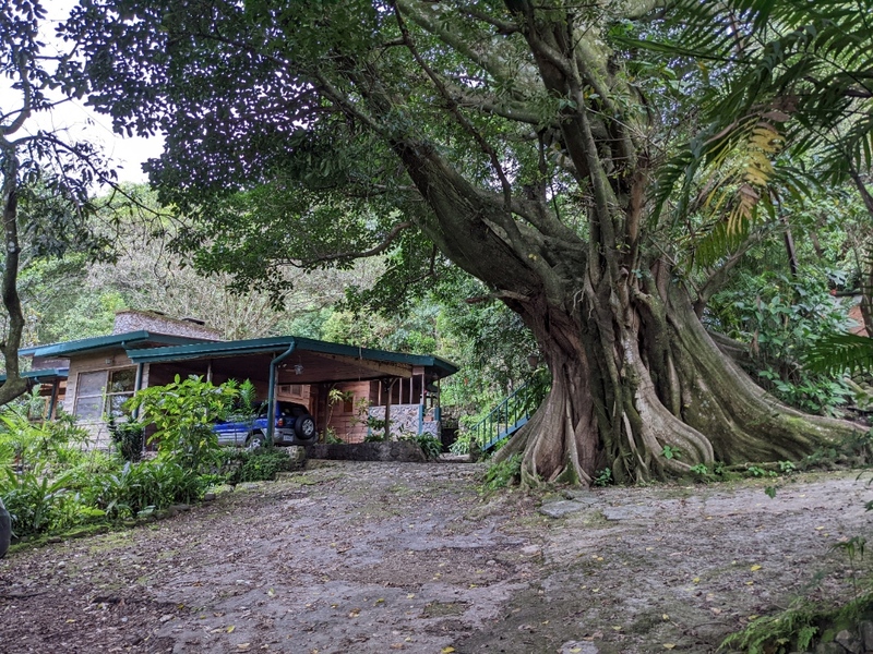 6 bed Single Family Homes For Sale in San Rafael De Escazu, San Jose - 1