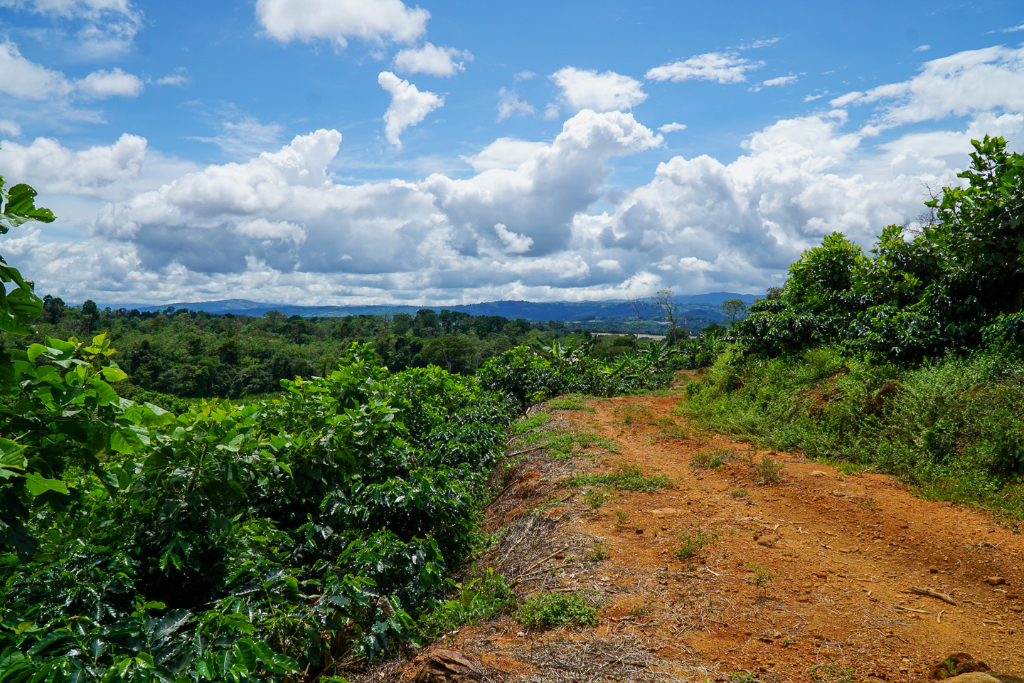 0 bed Land For Sale in Perez Zeledon, San Jose - thumb 10