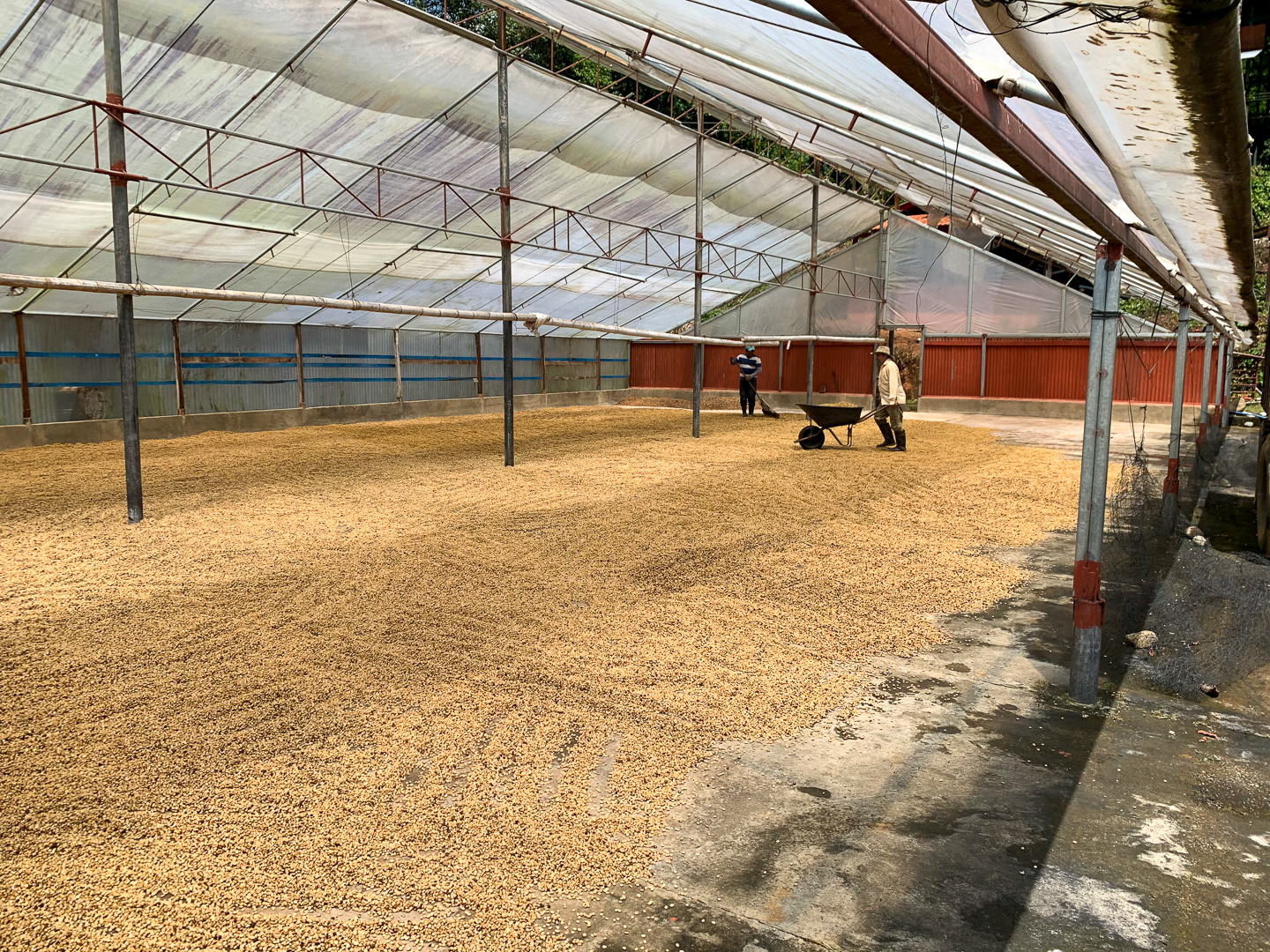 0 bed Land For Sale in Perez Zeledon, San Jose - thumb 20