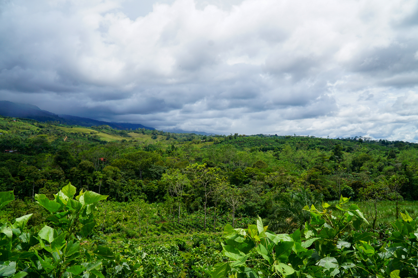 0 bed Land For Sale in Perez Zeledon, San Jose - thumb 9