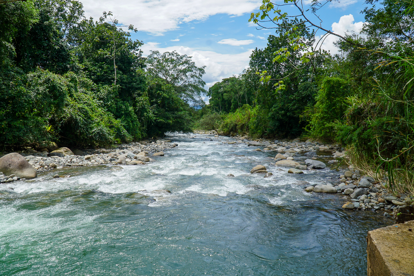 0 bed Land For Sale in Perez Zeledon, San Jose - thumb 1