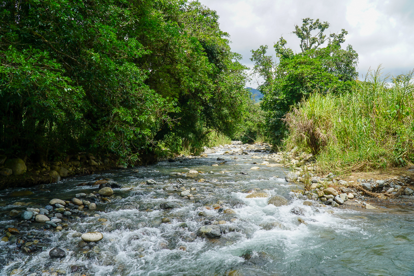 0 bed Land For Sale in Perez Zeledon, San Jose - thumb 4