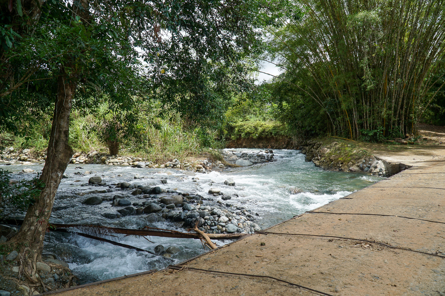 0 bed Land For Sale in Perez Zeledon, San Jose - thumb 3