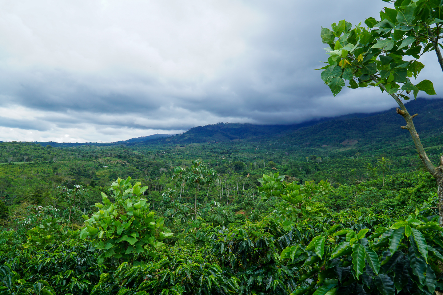 0 bed Land For Sale in Perez Zeledon, San Jose - thumb 14