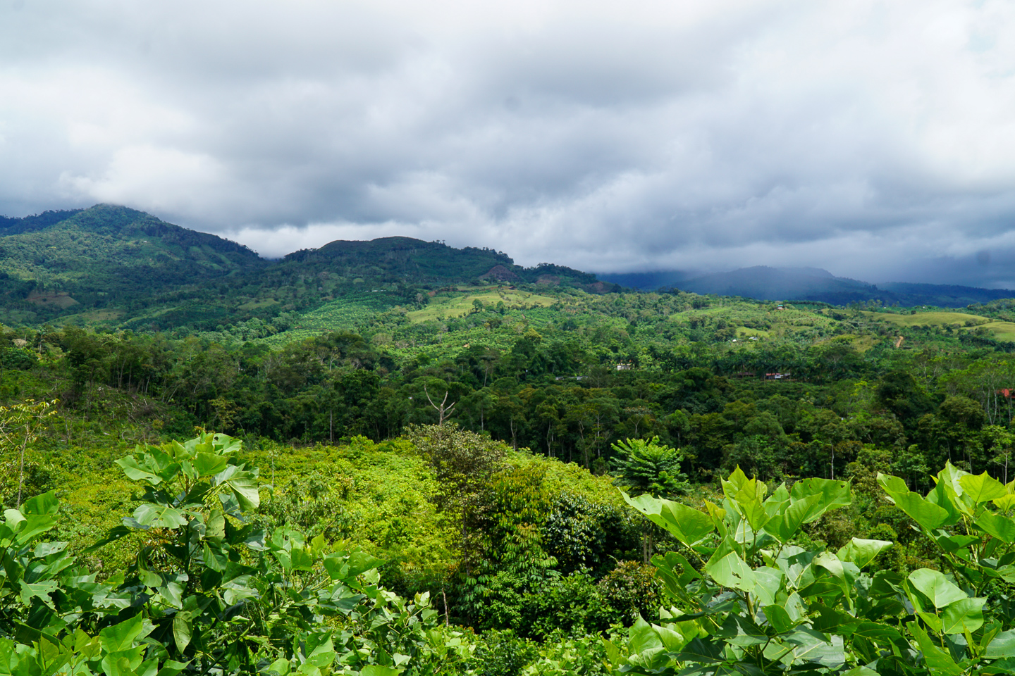 0 bed Land For Sale in Perez Zeledon, San Jose - thumb 8