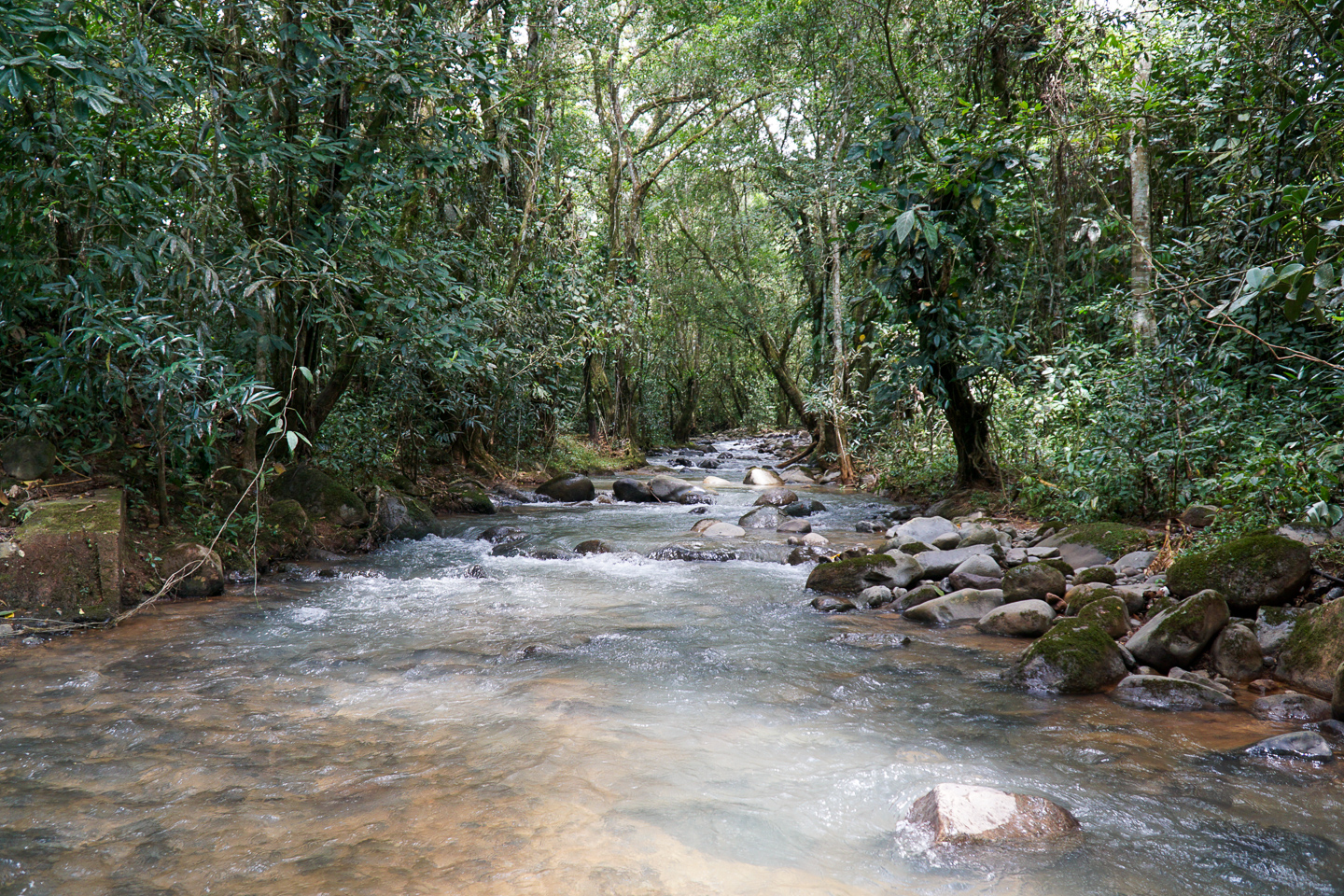 0 bed Land For Sale in Perez Zeledon, San Jose - thumb 6