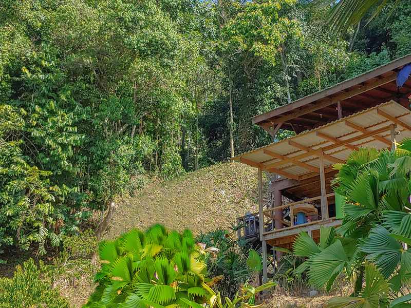 1 bed Single Family Homes For Sale in Ojochal, Puntarenas - 1