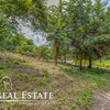  - Guiones Beach Club #14 Walk to beach property with Valley and Pasture views