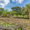 - Guiones Beach Club #14 Walk to beach property with Valley and Pasture views