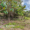  - Guiones Beach Club #14 Walk to beach property with Valley and Pasture views