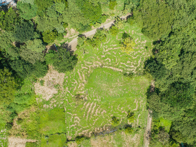 0 bed Land For Sale in Nosara, Guanacaste - 1