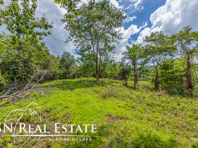 Luxury Homes For Sale Nosara Costa Rica Real Estate Condos