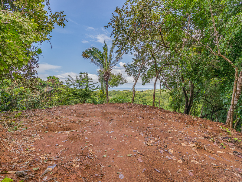 0 bed Land For Sale in Nosara, Guanacaste - 1