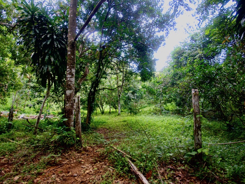Land For Sale in Dominical Costa Rica