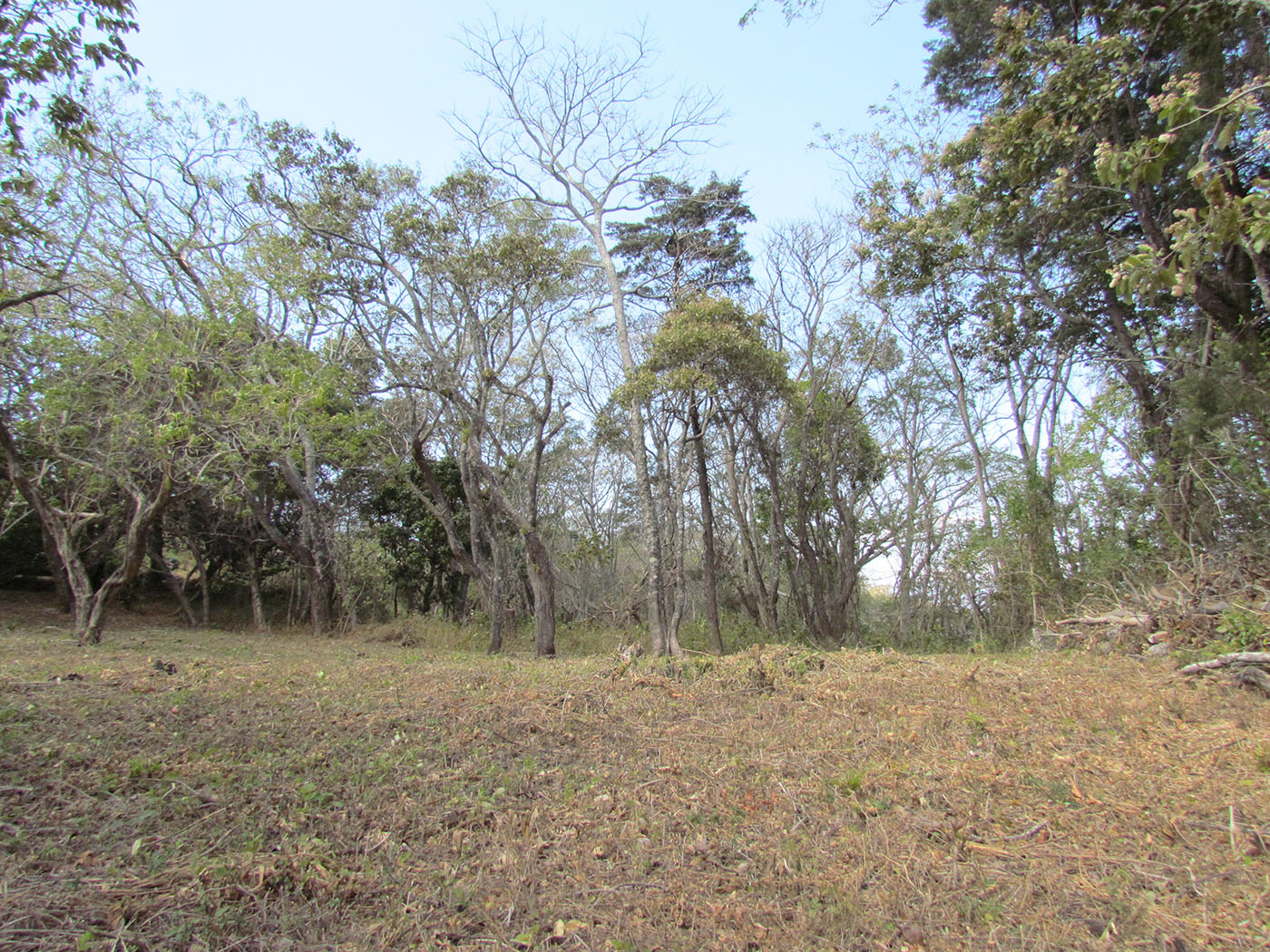 Featured property image