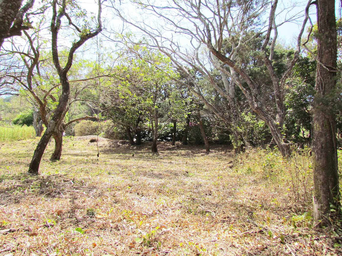 0 bed Land For Sale in Santa Ana, San Jose - thumb 16