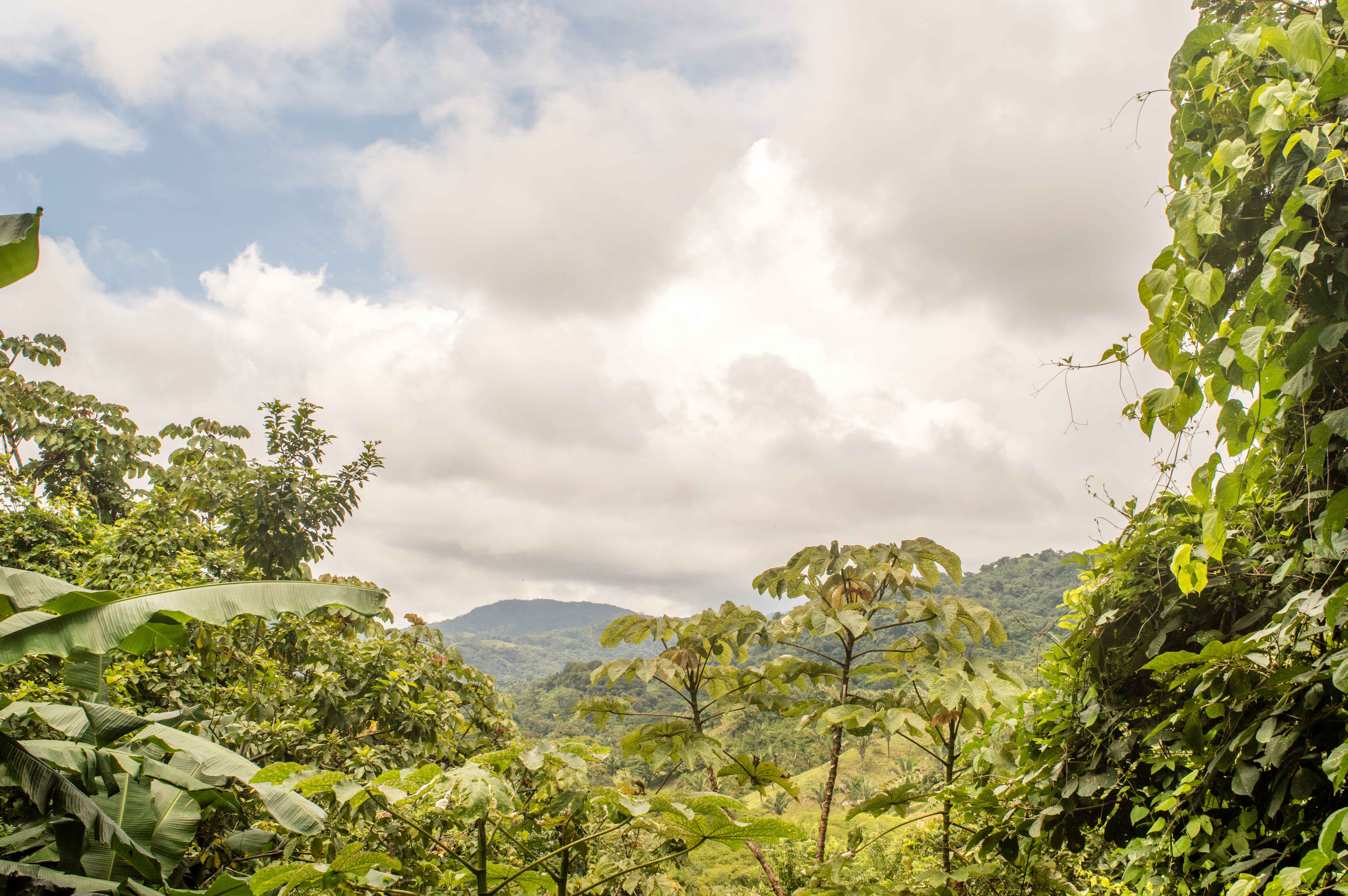 0 bed Land For Sale in Samara, Guanacaste - thumb 12