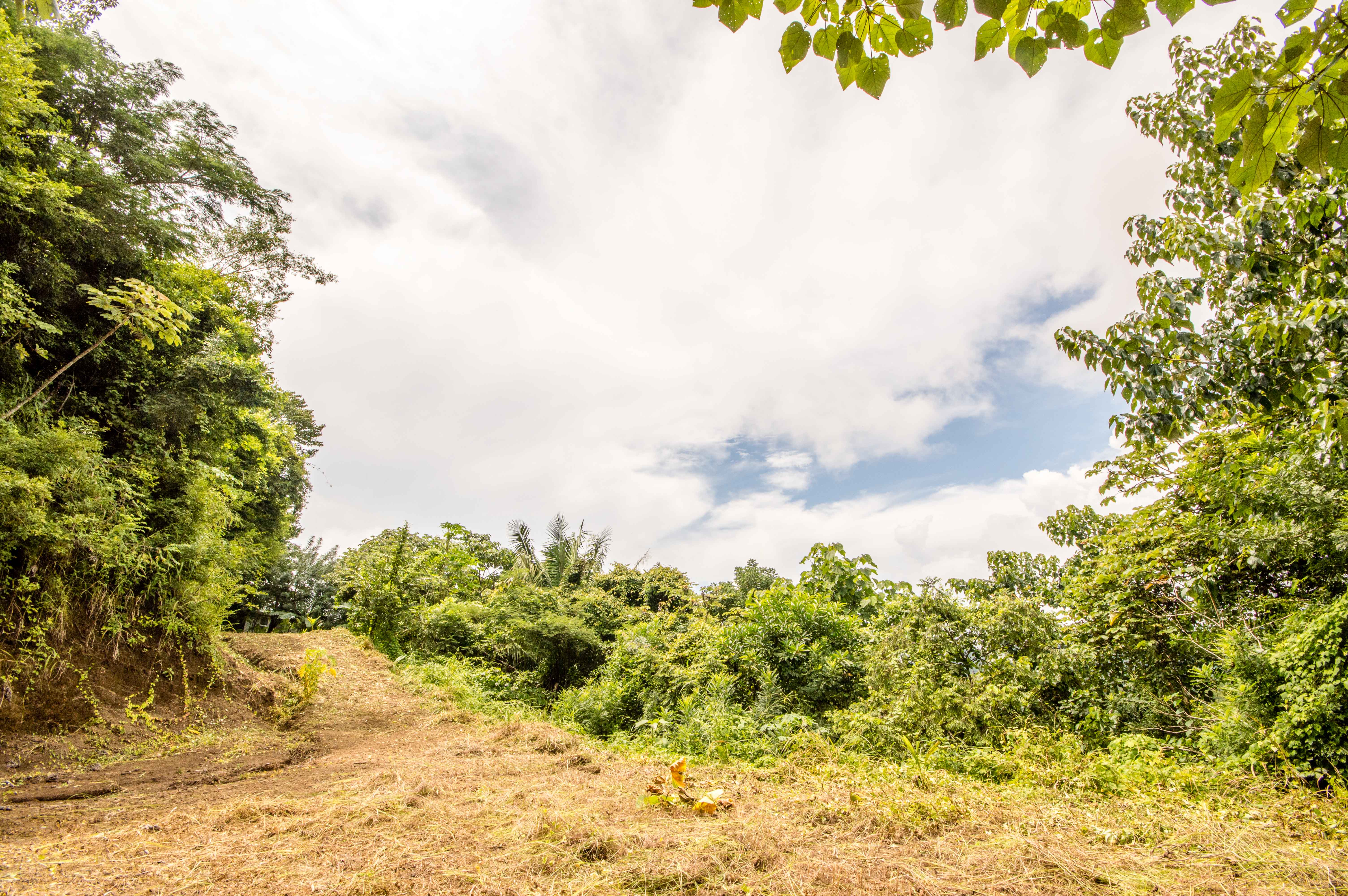 0 bed Land For Sale in Samara, Guanacaste - thumb 3