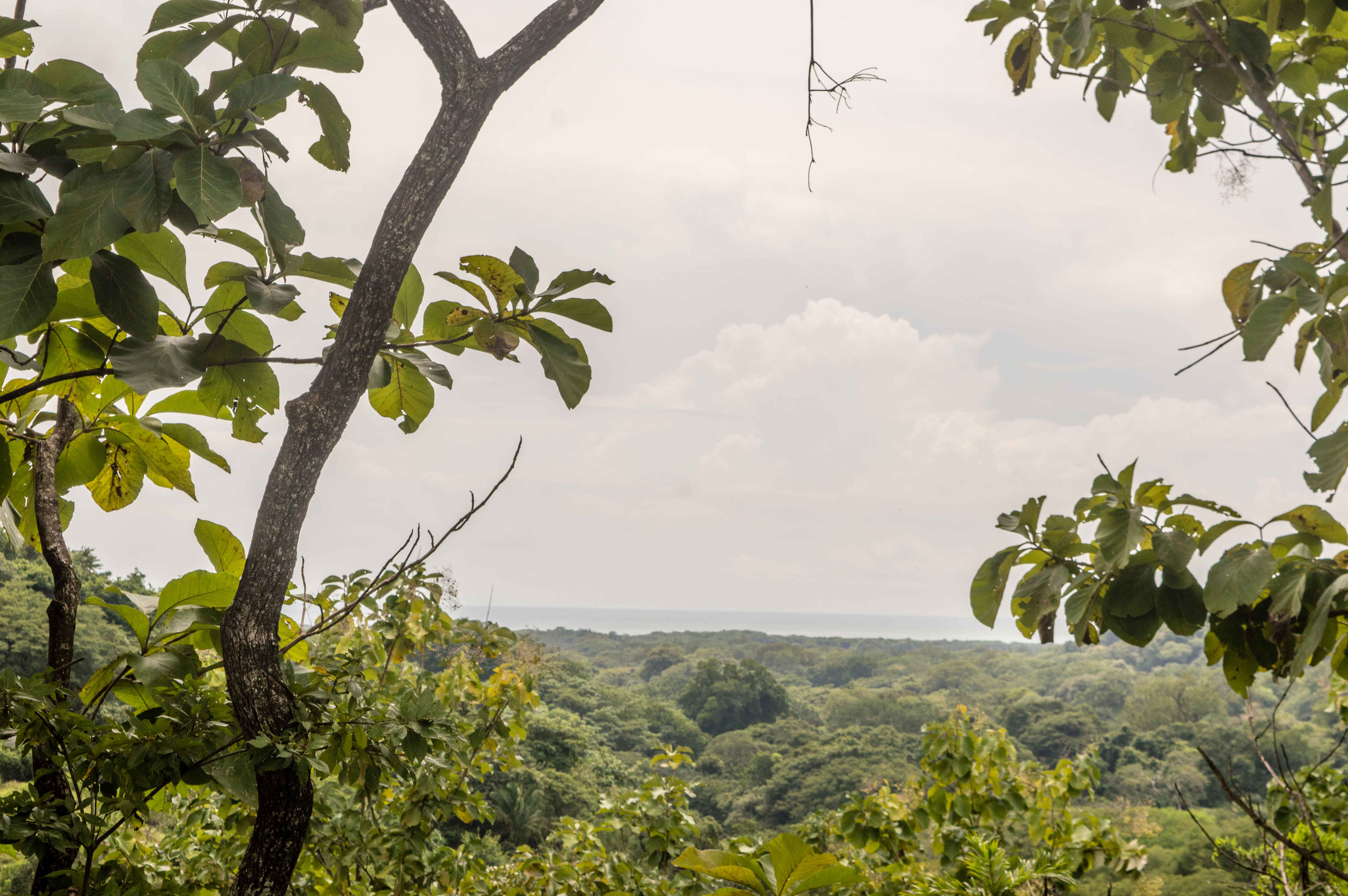 0 bed Land For Sale in Samara, Guanacaste - thumb 14