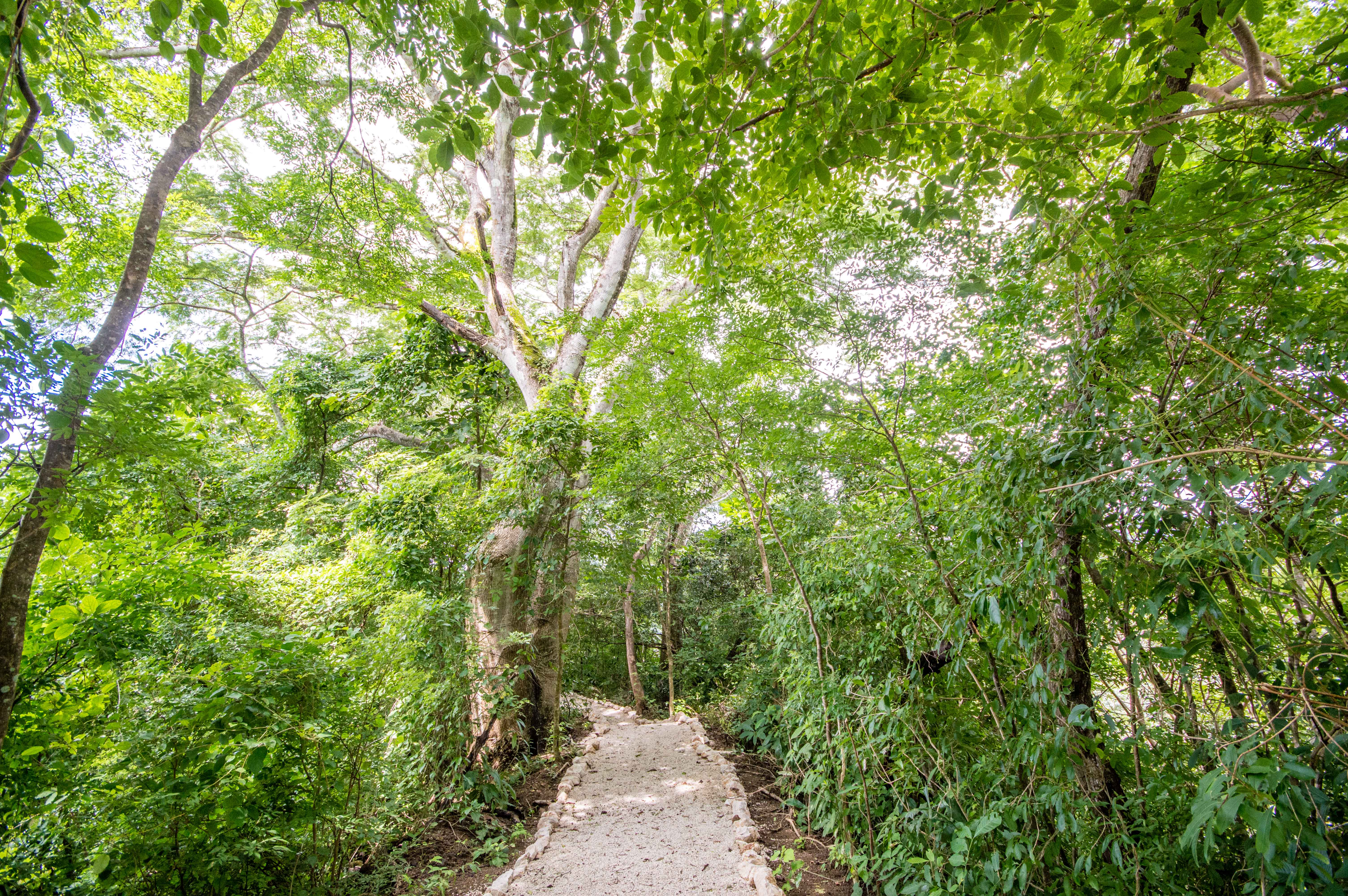 0 bed Land For Sale in Samara, Guanacaste - thumb 5