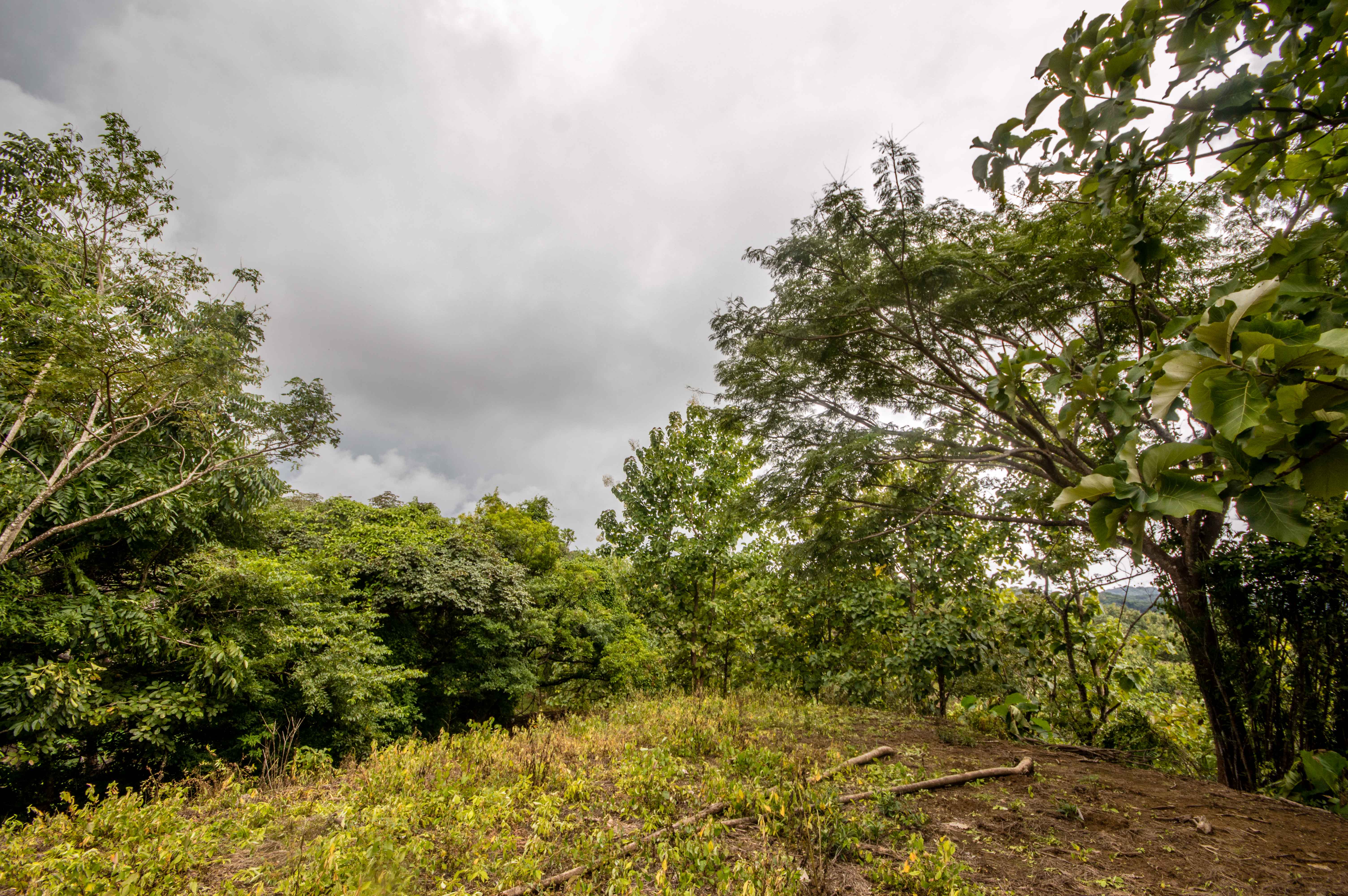 0 bed Land For Sale in Samara, Guanacaste - thumb 15