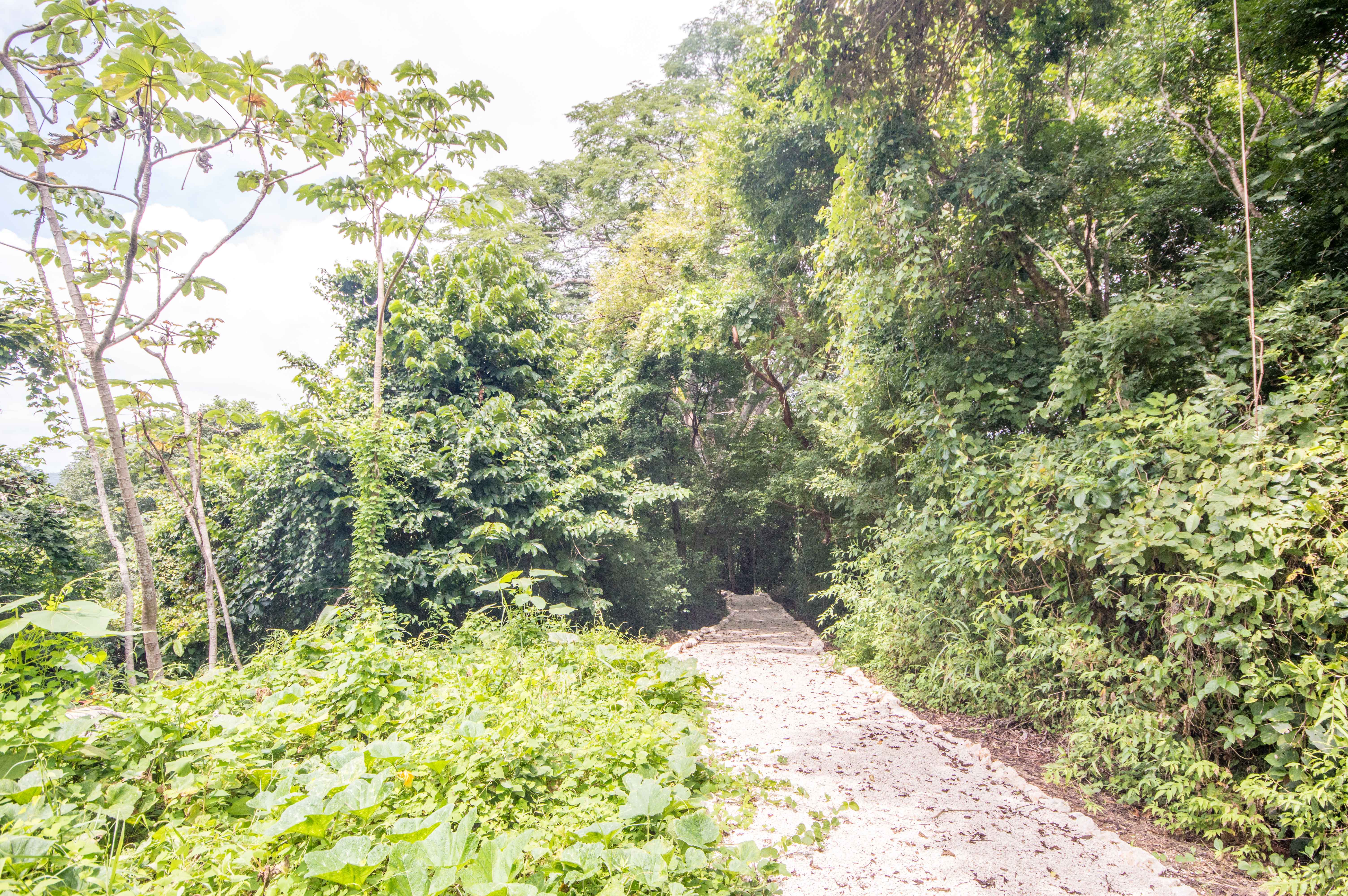 0 bed Land For Sale in Samara, Guanacaste - thumb 4