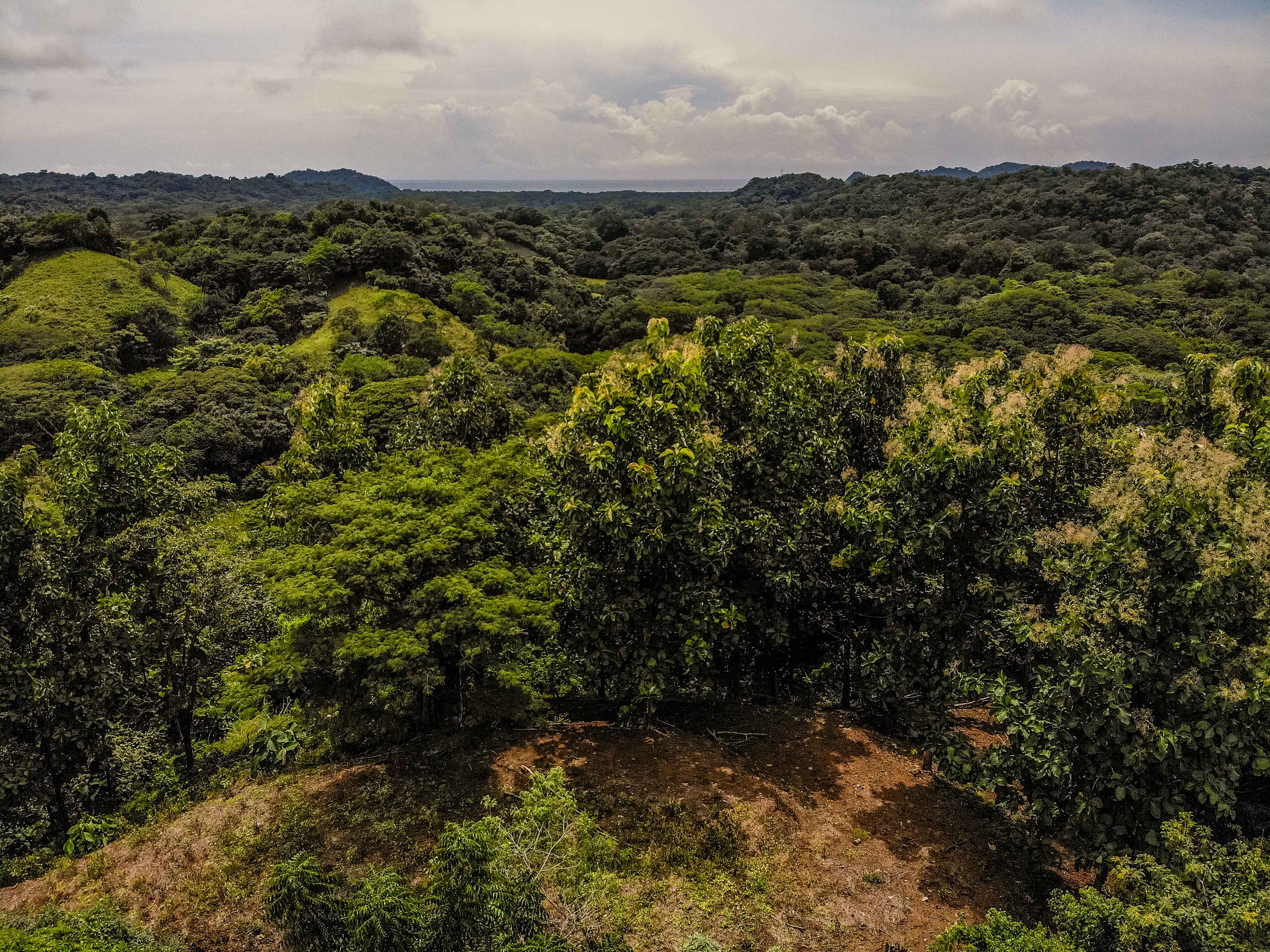 0 bed Land For Sale in Samara, Guanacaste - thumb 9