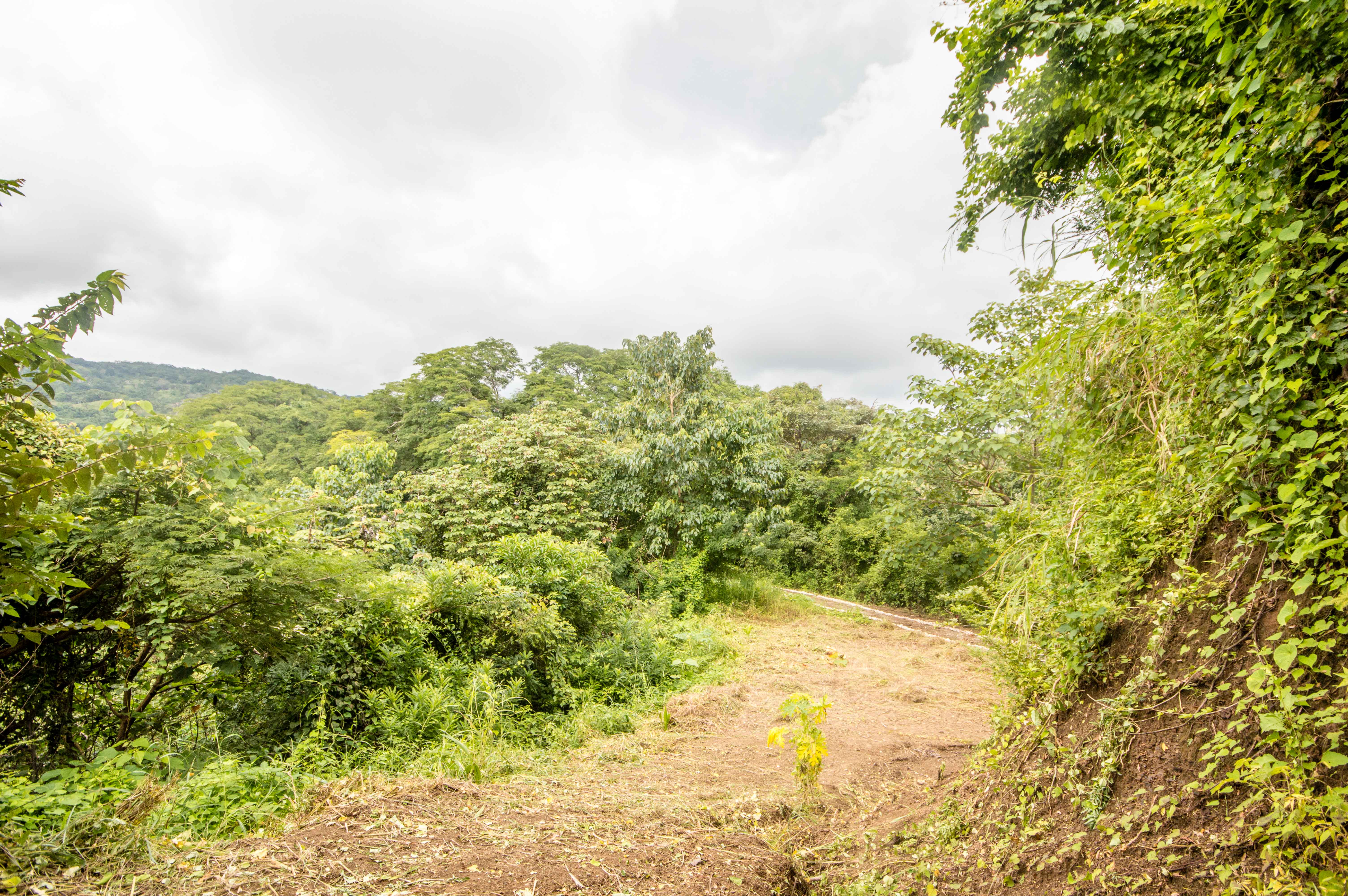 0 bed Land For Sale in Samara, Guanacaste - thumb 17
