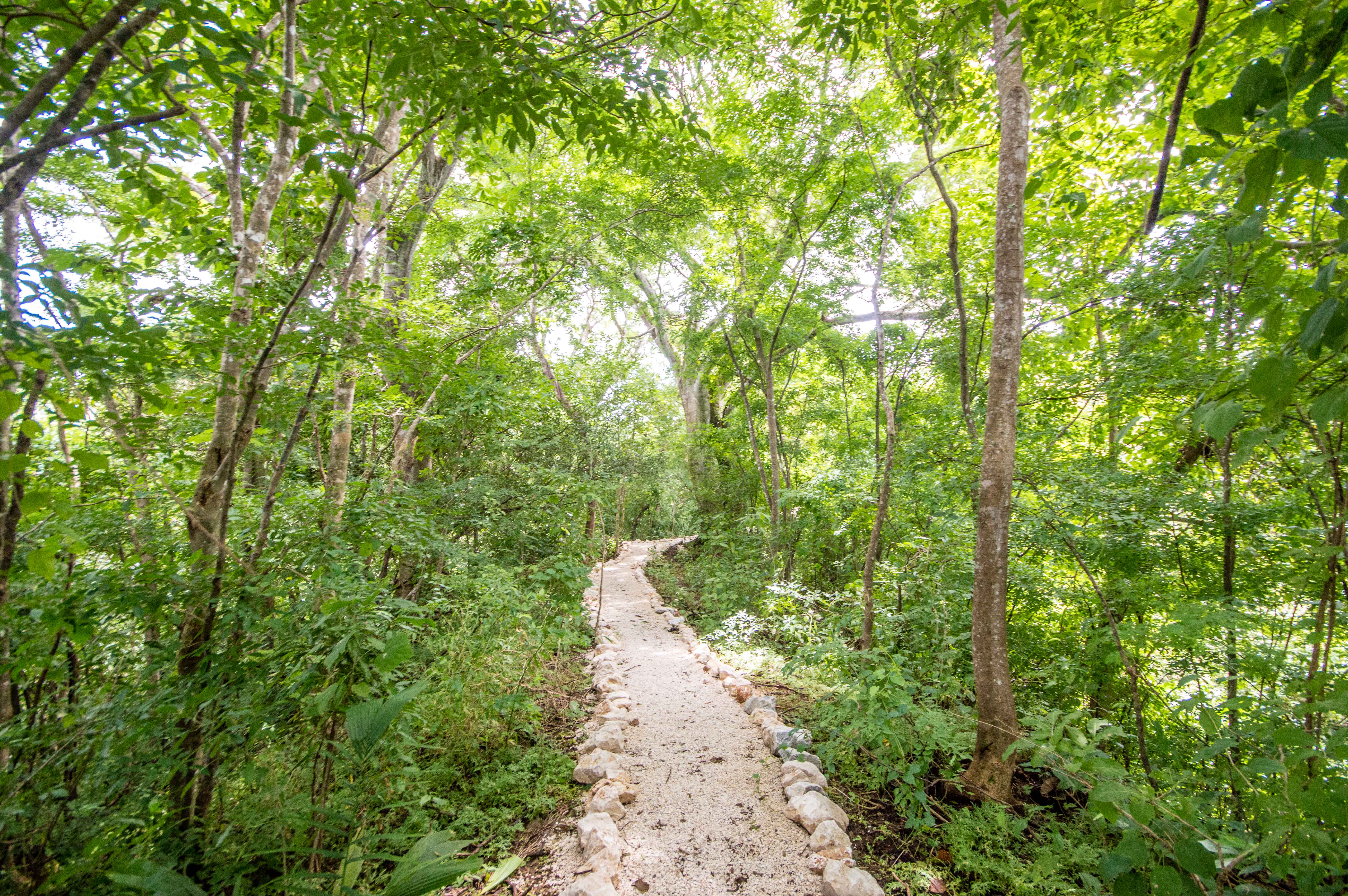 0 bed Land For Sale in Samara, Guanacaste - thumb 7