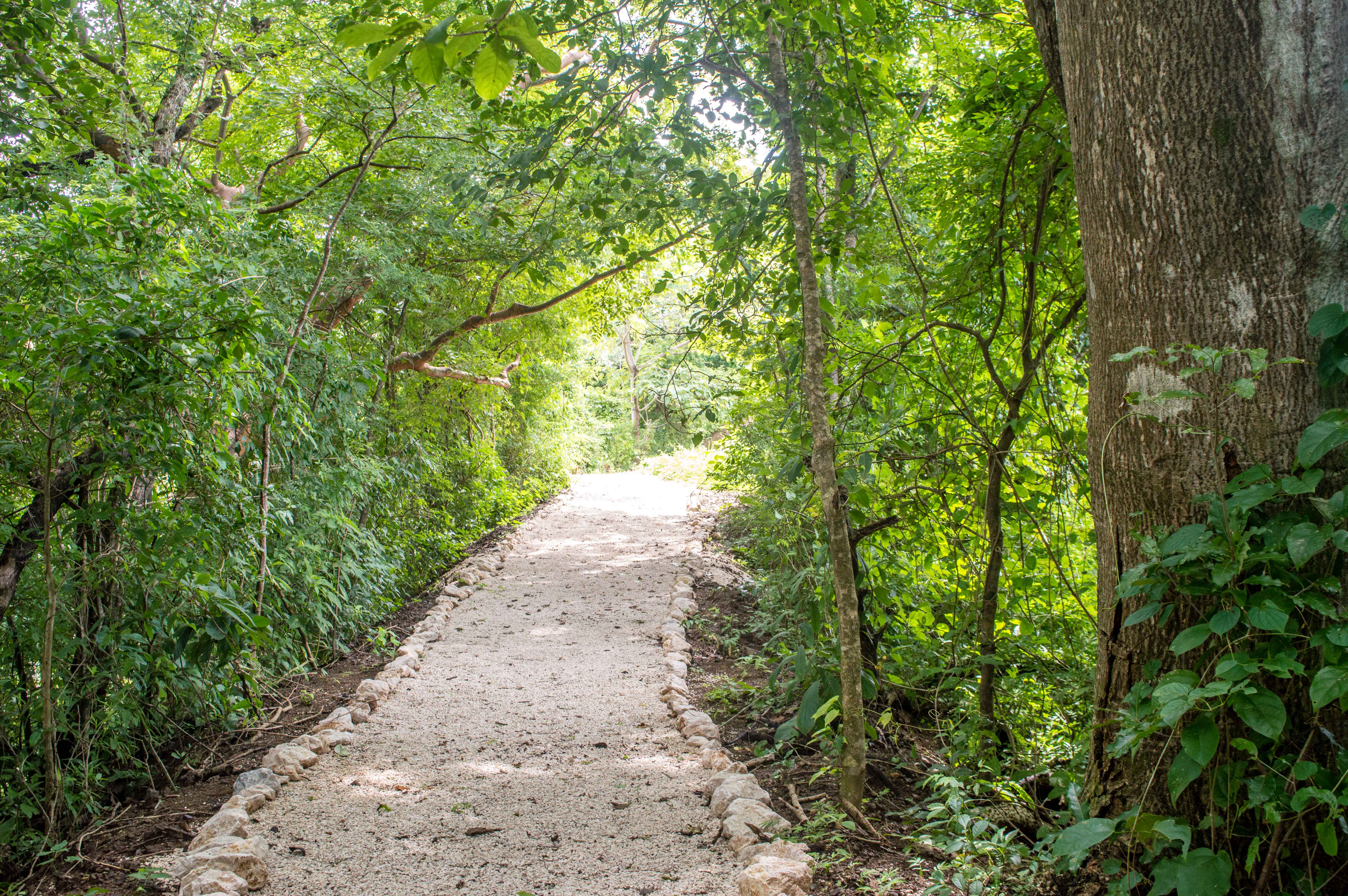 0 bed Land For Sale in Samara, Guanacaste - thumb 8