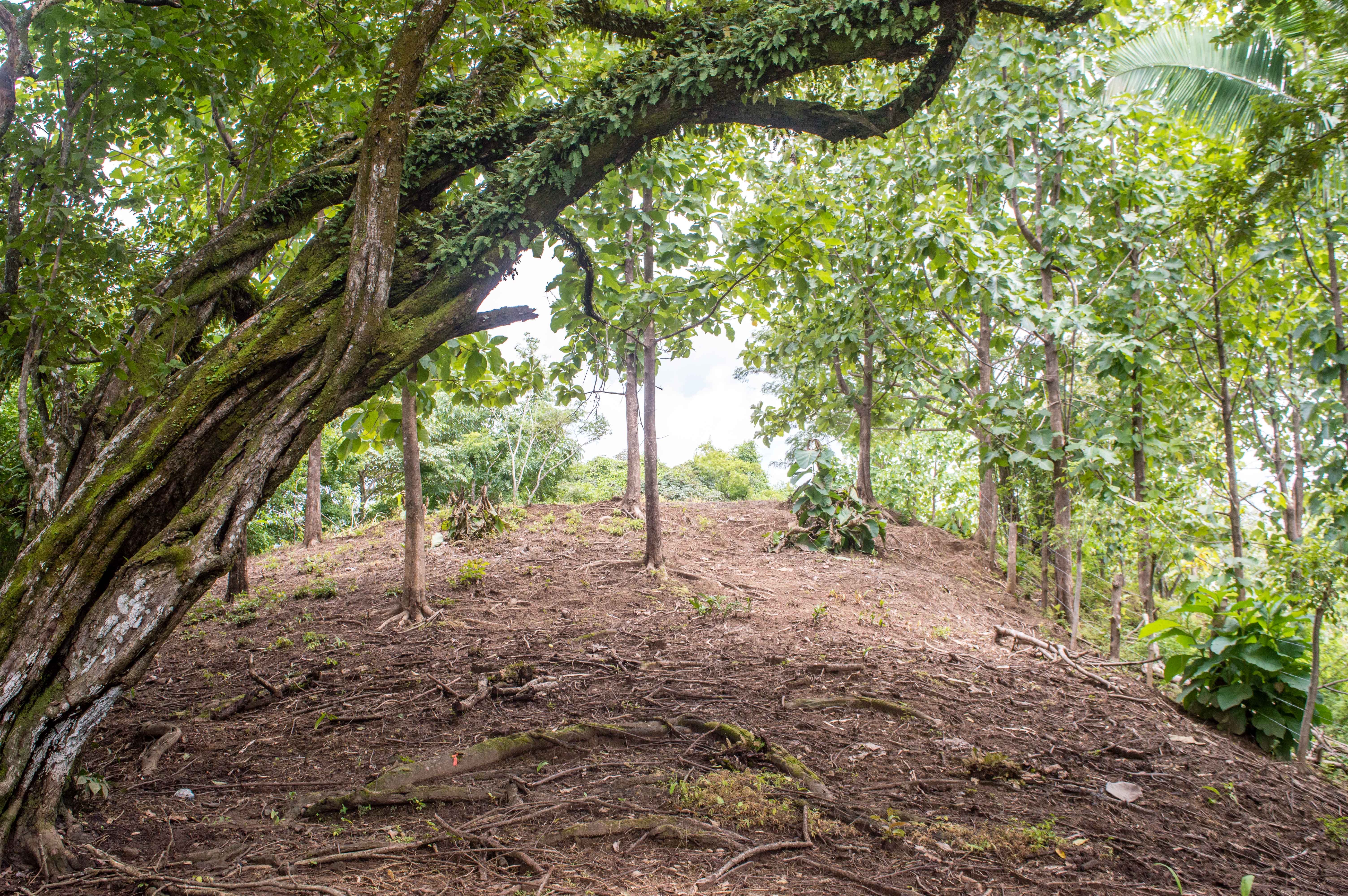 0 bed Land For Sale in Samara, Guanacaste - thumb 13