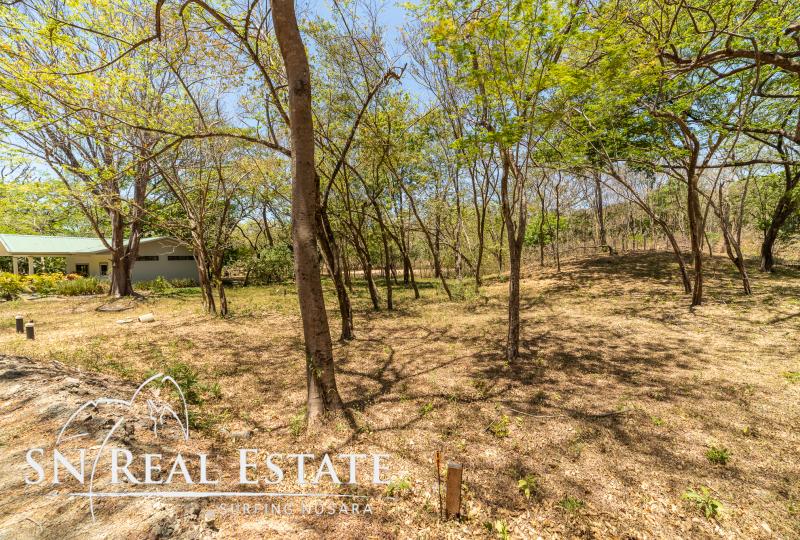 0 bed Land For Sale in Nosara, Guanacaste - thumb 5