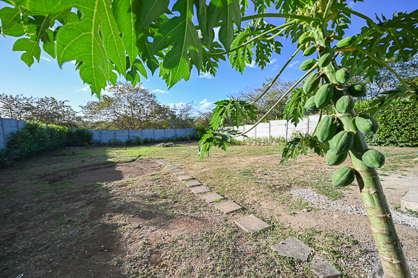 5 bed Single Family Homes For Sale in Avellanas, Guanacaste - thumb 20