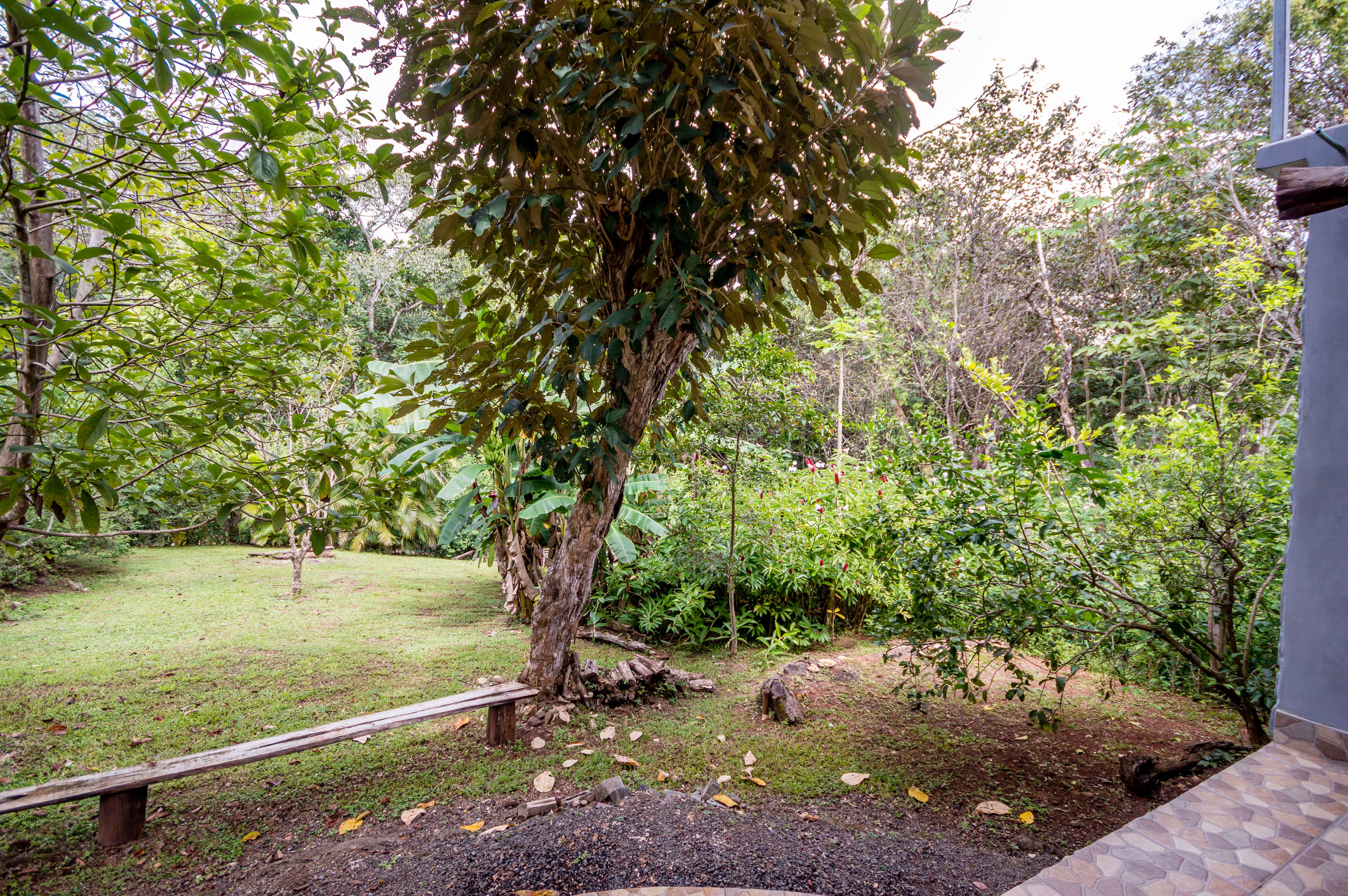 1 bed Single Family Homes For Sale in Playa Carrillo, Guanacaste - thumb 30