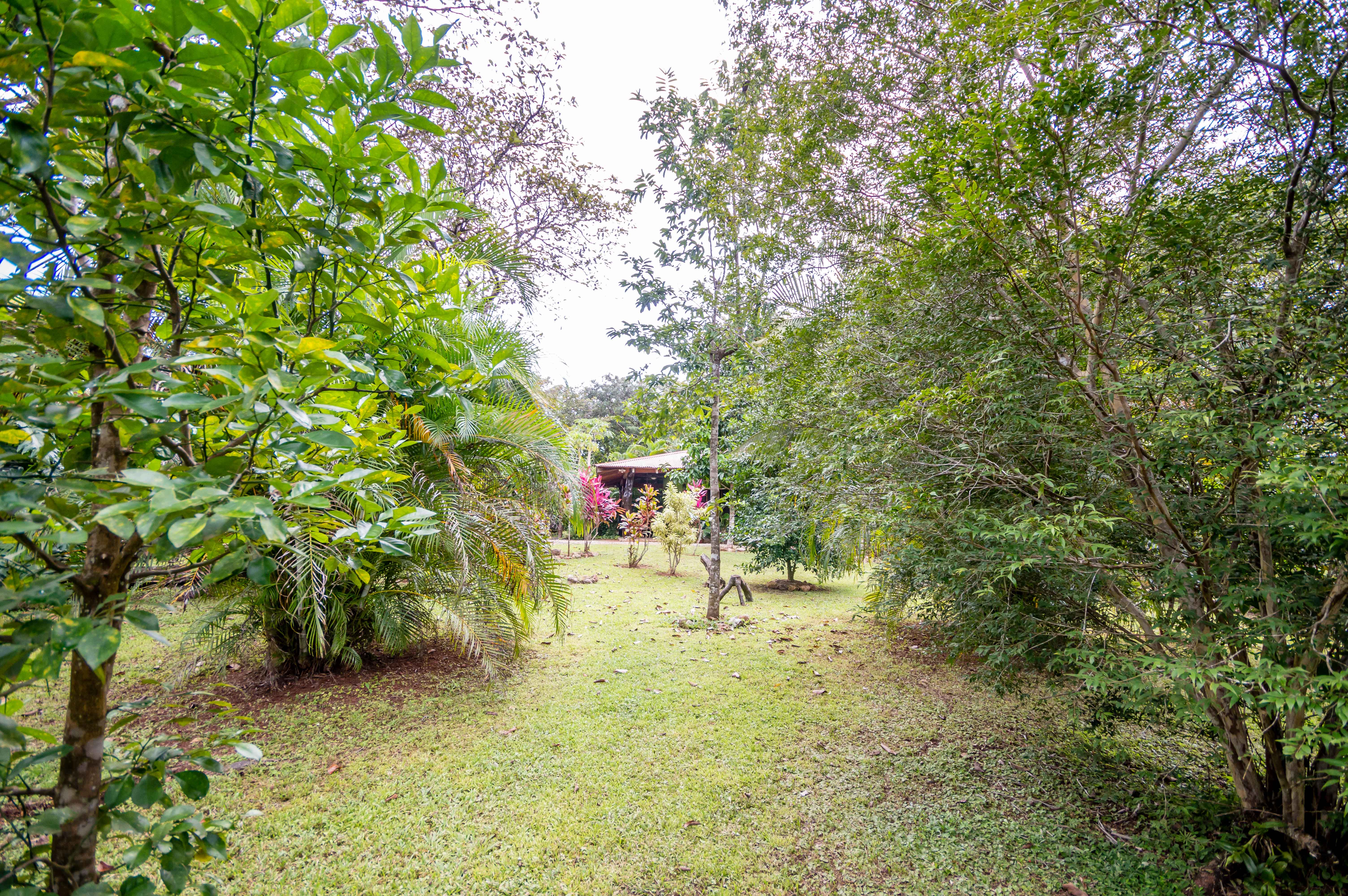 1 bed Single Family Homes For Sale in Playa Carrillo, Guanacaste - thumb 22