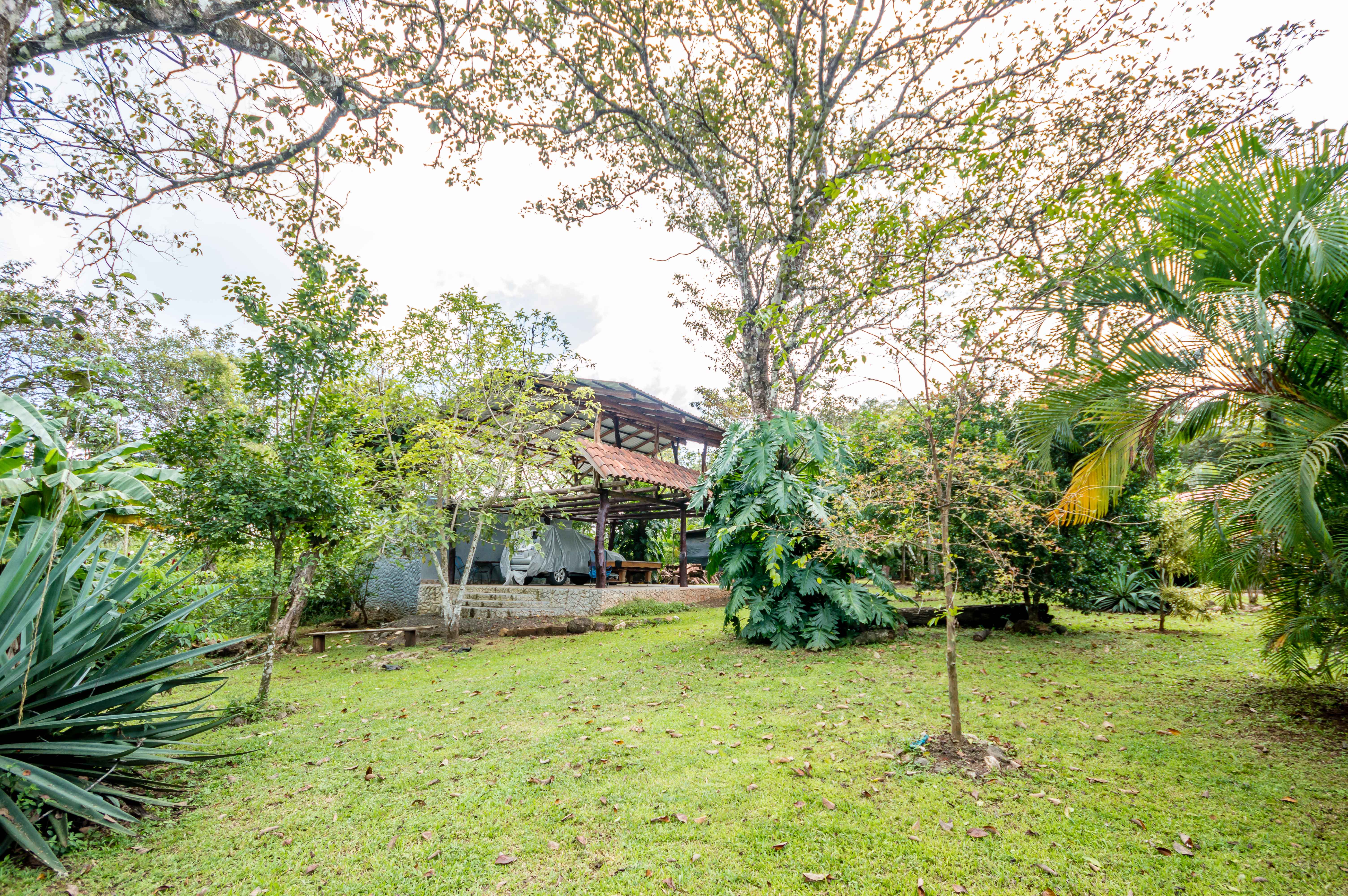 1 bed Single Family Homes For Sale in Playa Carrillo, Guanacaste - thumb 21