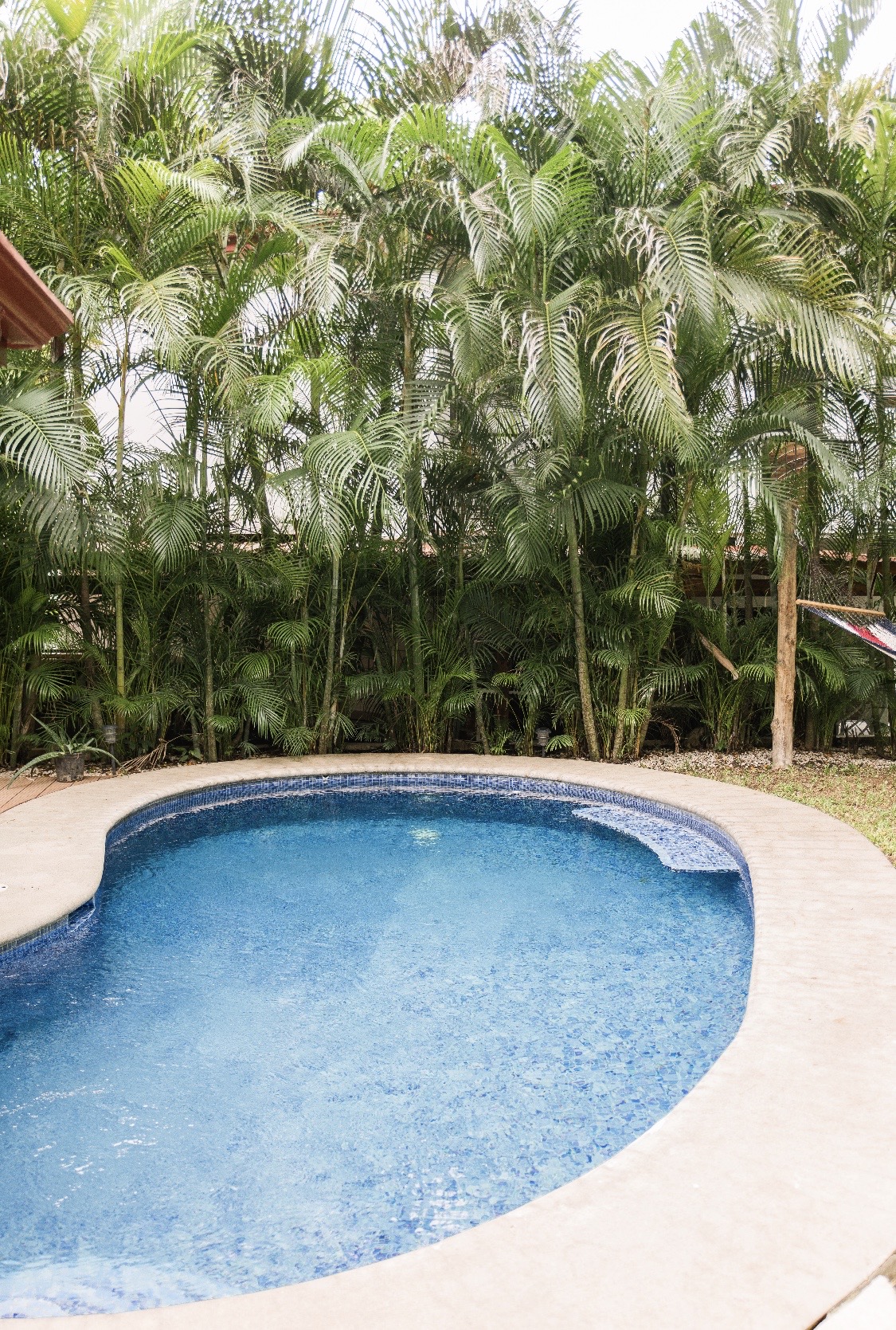 3 bed Single Family Homes For Sale in Nosara, Guanacaste - thumb 26