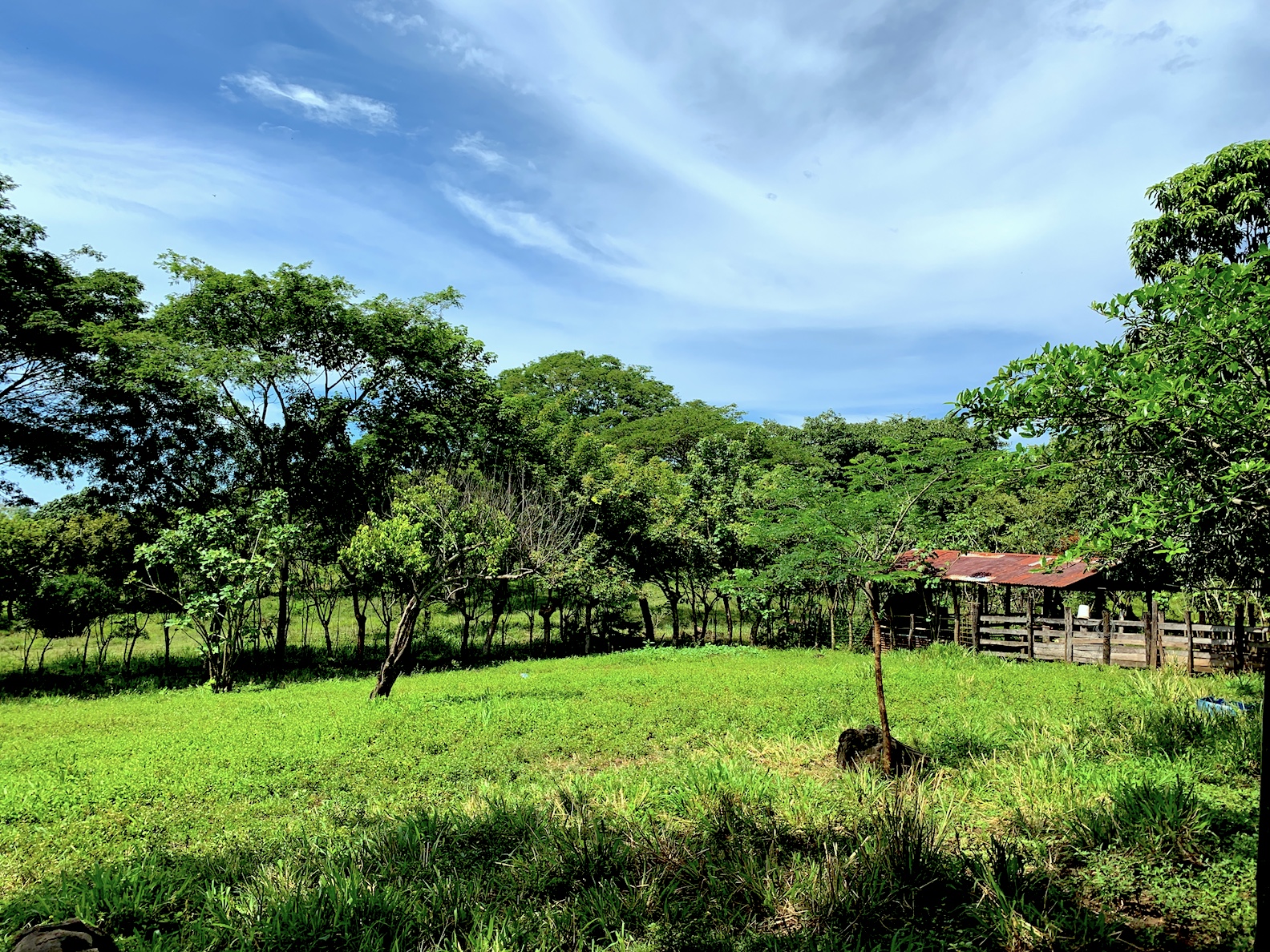 0 bed Land For Sale in Puntarenas, Puntarenas - thumb 13