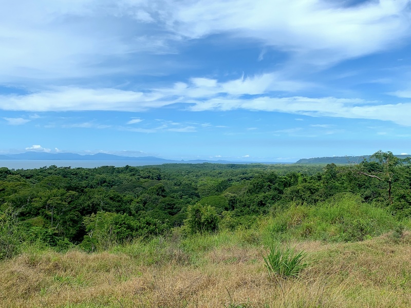 0 bed Land For Sale in Puntarenas, Puntarenas - thumb 4