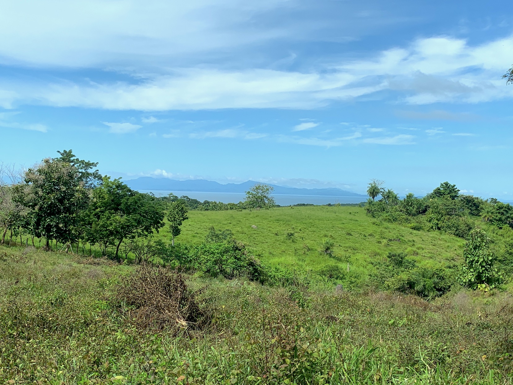 0 bed Land For Sale in Puntarenas, Puntarenas - thumb 8