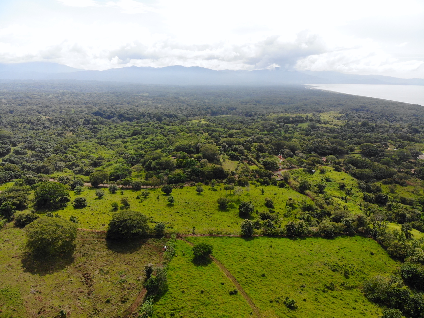 0 bed Land For Sale in Puntarenas, Puntarenas - thumb 14