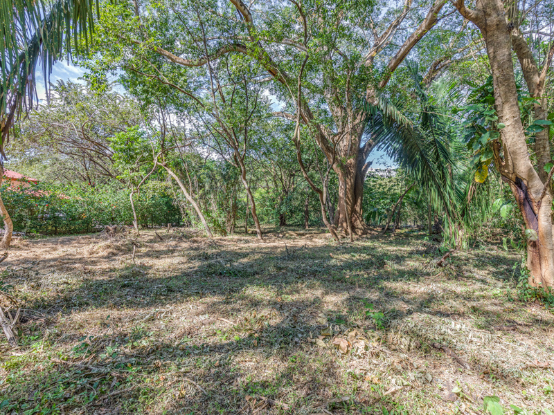 0 bed Land For Sale in Nosara, Guanacaste - 1