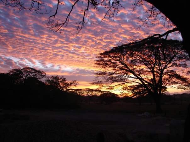 2 bed Single Family Homes For Sale in Samara, Guanacaste - thumb 17