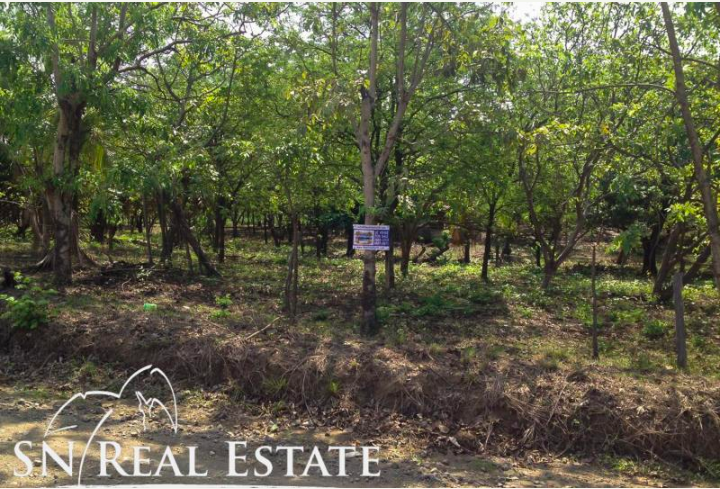 0 bed Land For Sale in Marbella, Guanacaste - thumb 20